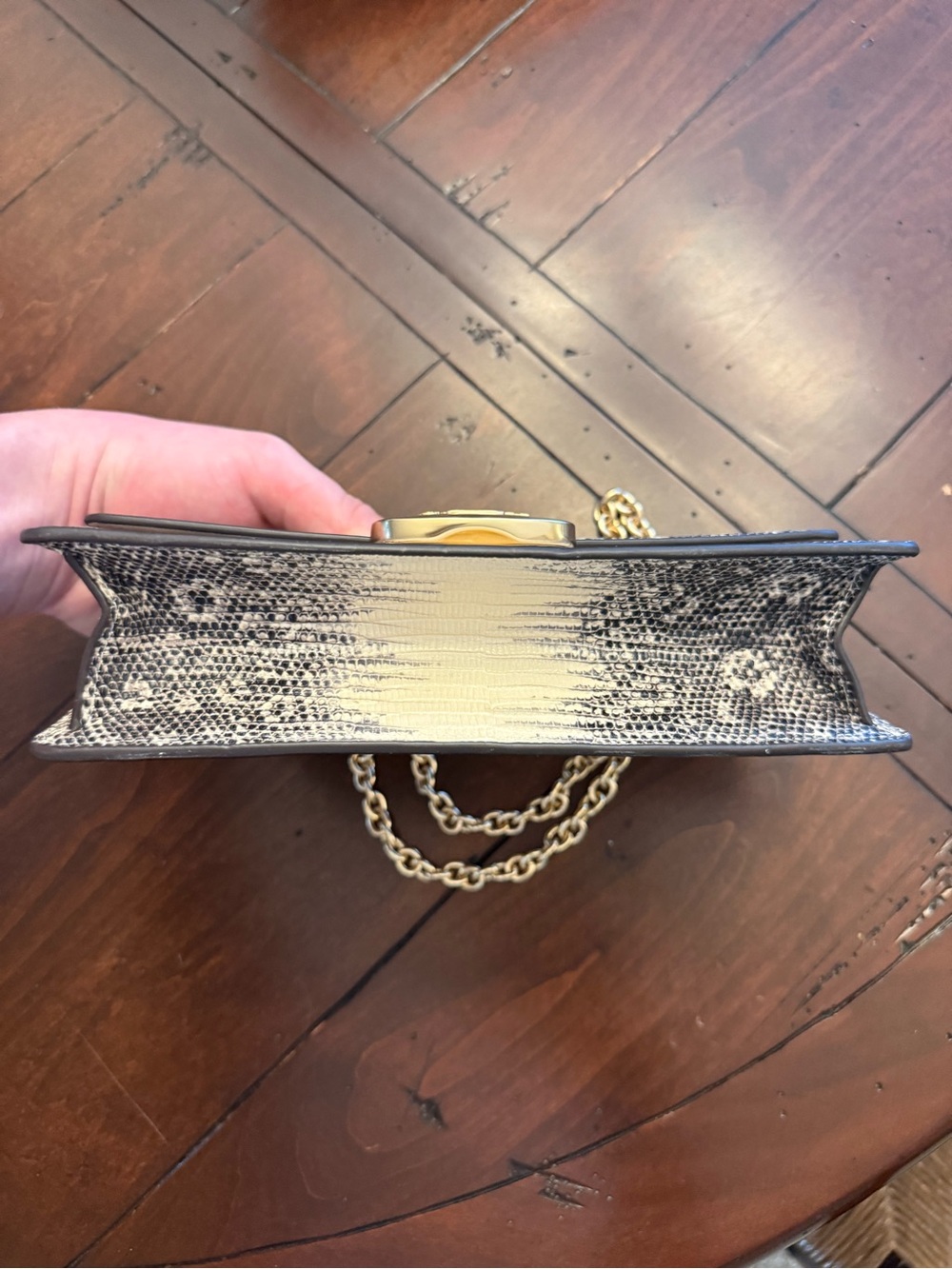 COACH Eliza Snake-Print Chain Shoulder/crossbody Bag - Picture 10 of 12